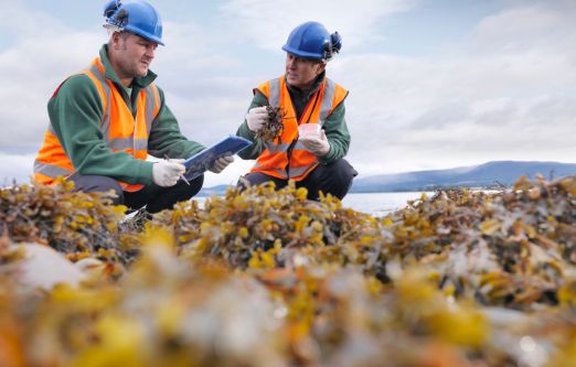 A picture of environmental inspection service professionals